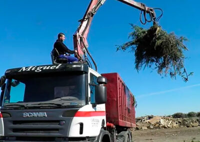 servicio de recogida de poda