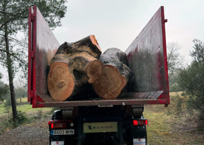 Recogida de Poda Tarragona Reus